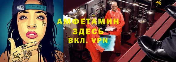 mdpv Вяземский